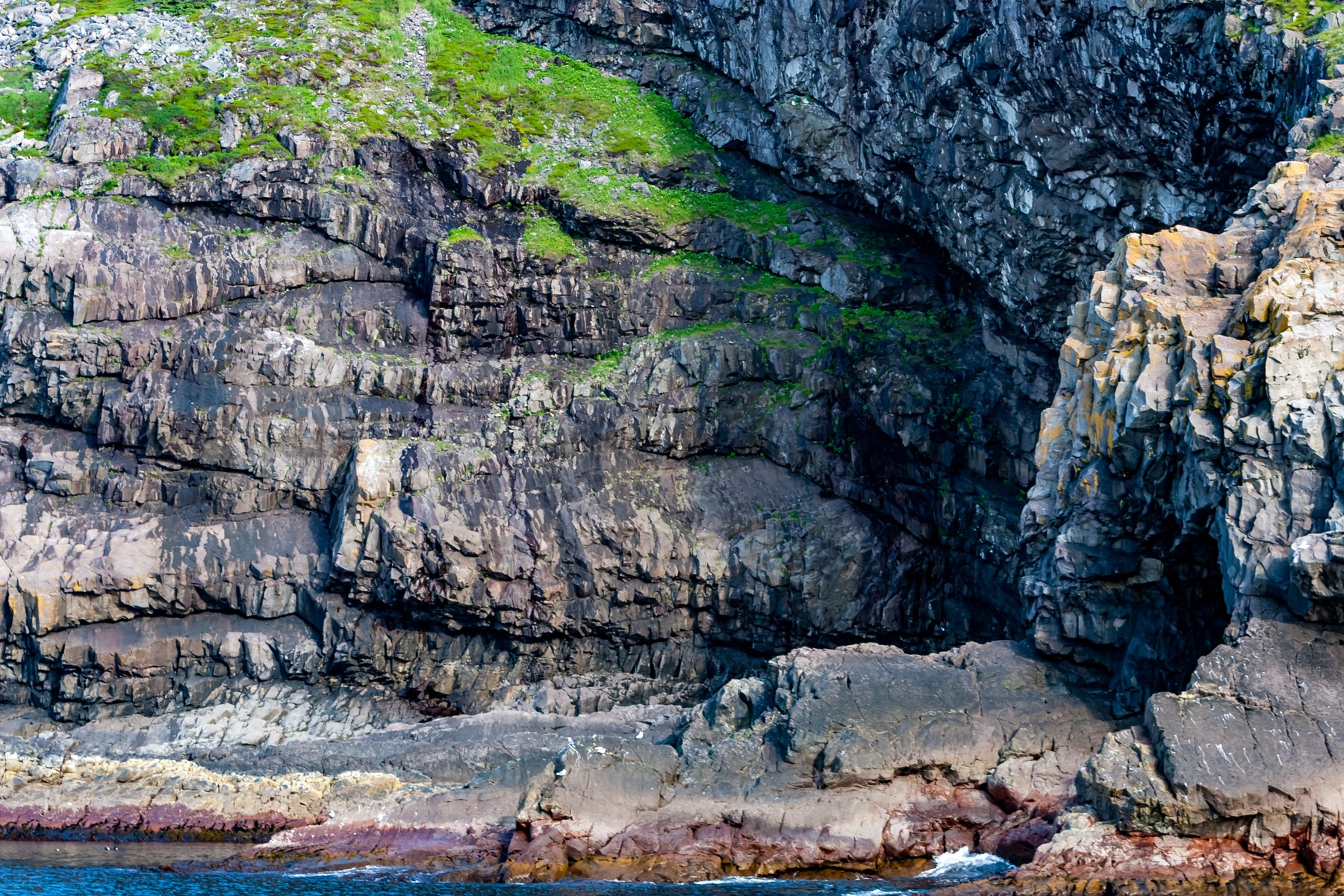 Rocky coastal cliffs above the Atlantic near St. John’s, Newfoundland.